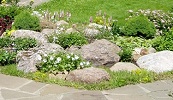Изображение к статье - Каменистые сады