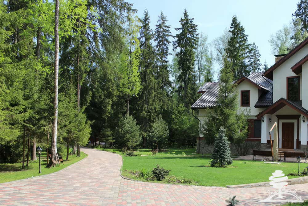 Дом в лесу
