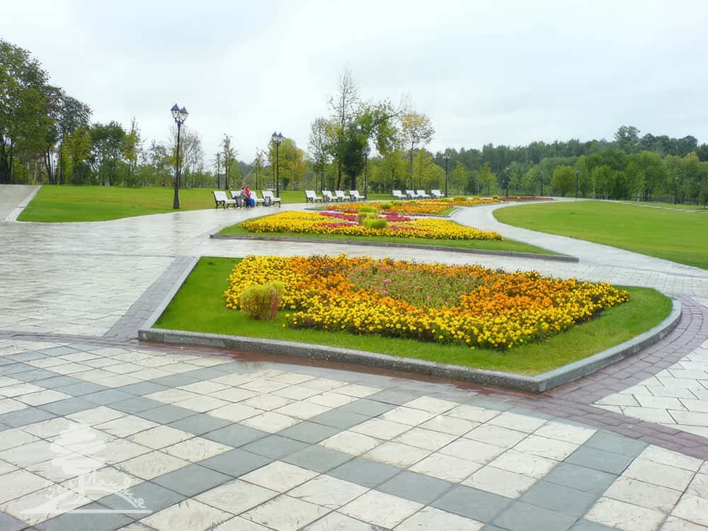Городское озеленение.