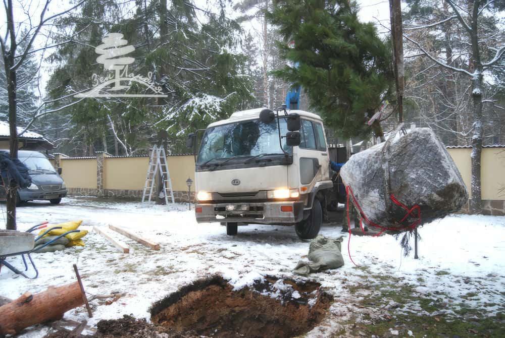 Посадка крупномеров.